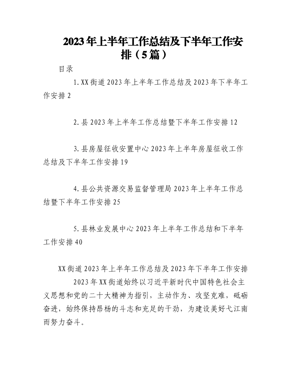 （5篇）2023年上半年工作总结及下半年工作安排.docx_第1页