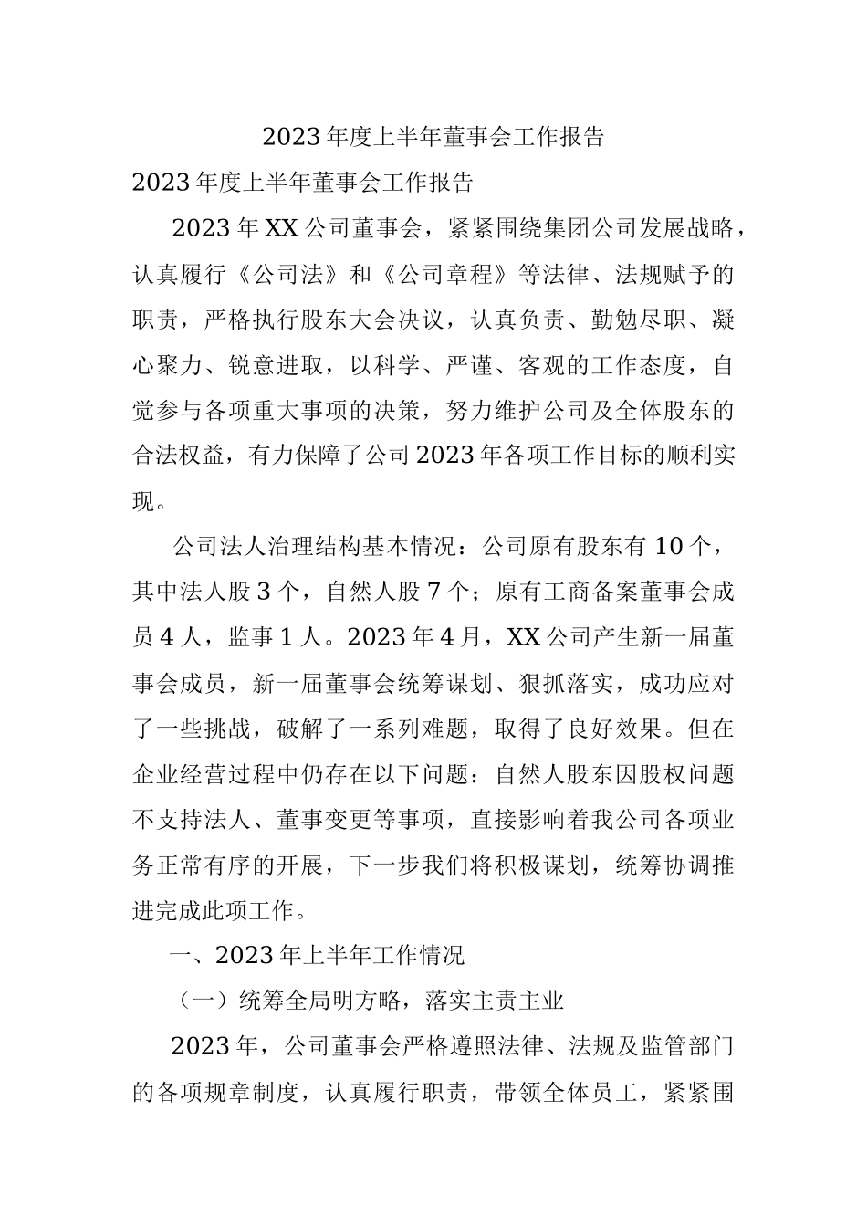 2023年度上半年董事会工作报告.docx_第1页
