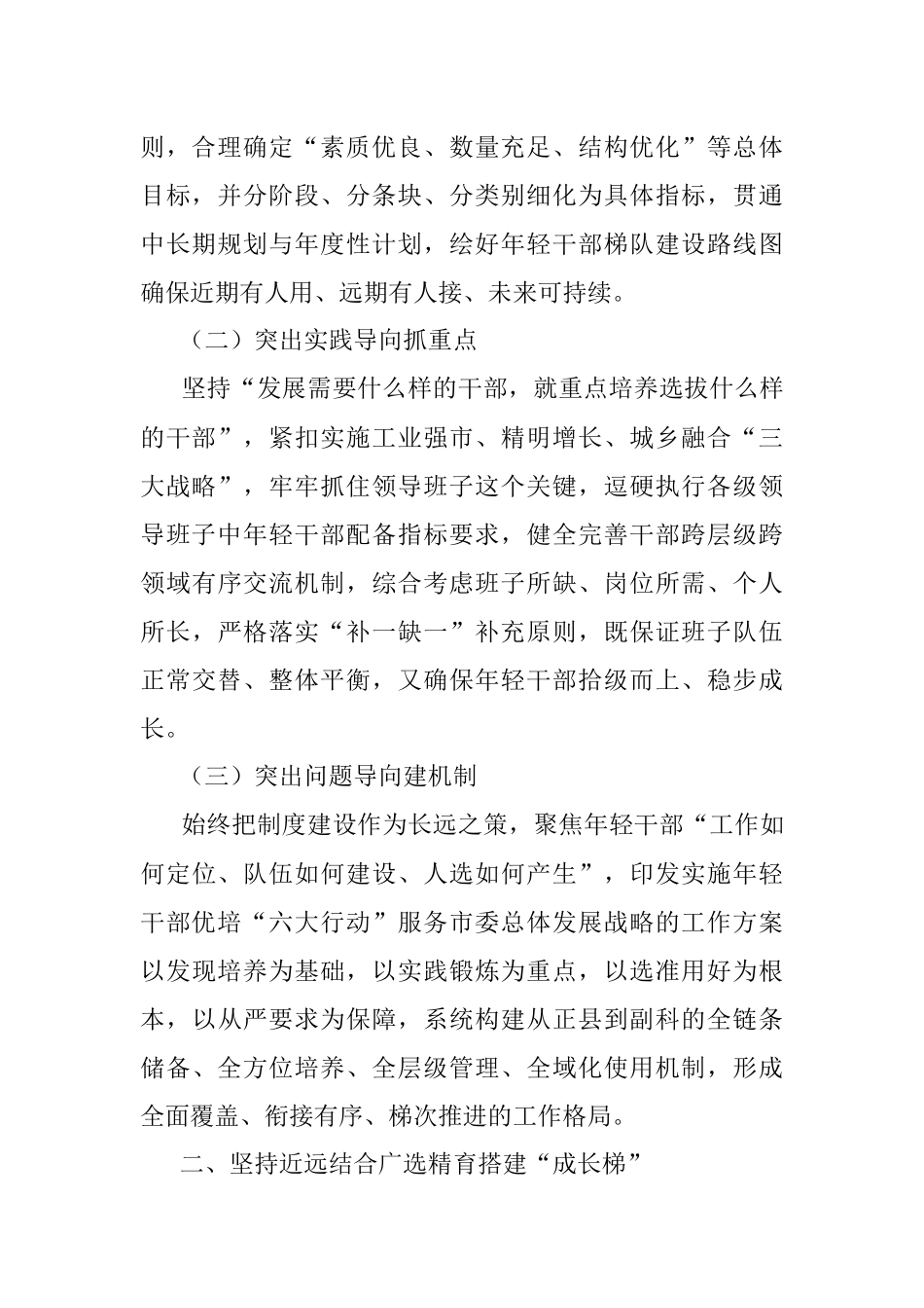 2023年某市年轻干部组织管理工作经验材料.docx_第2页