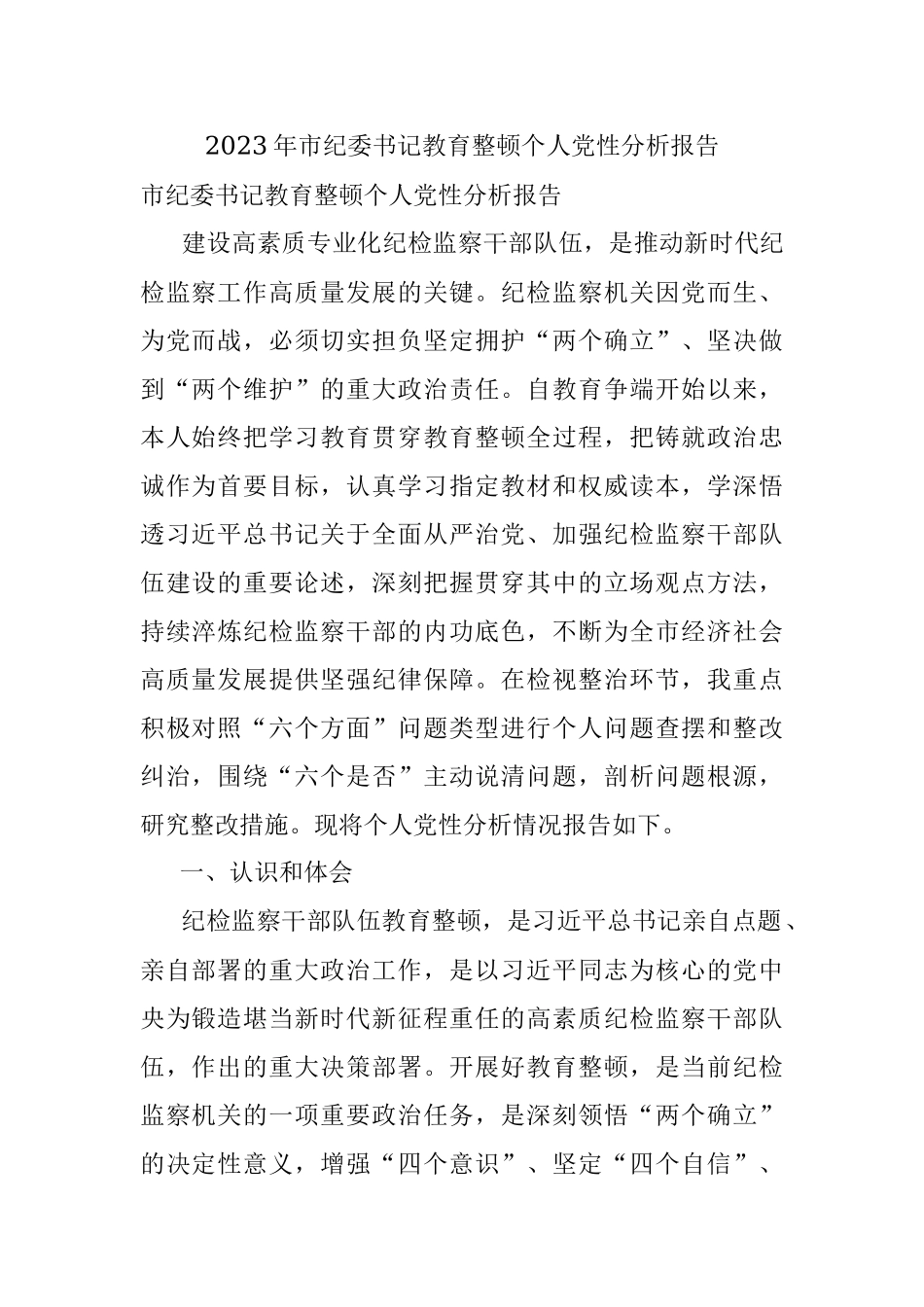2023年市纪委书记教育整顿个人党性分析报告.docx_第1页