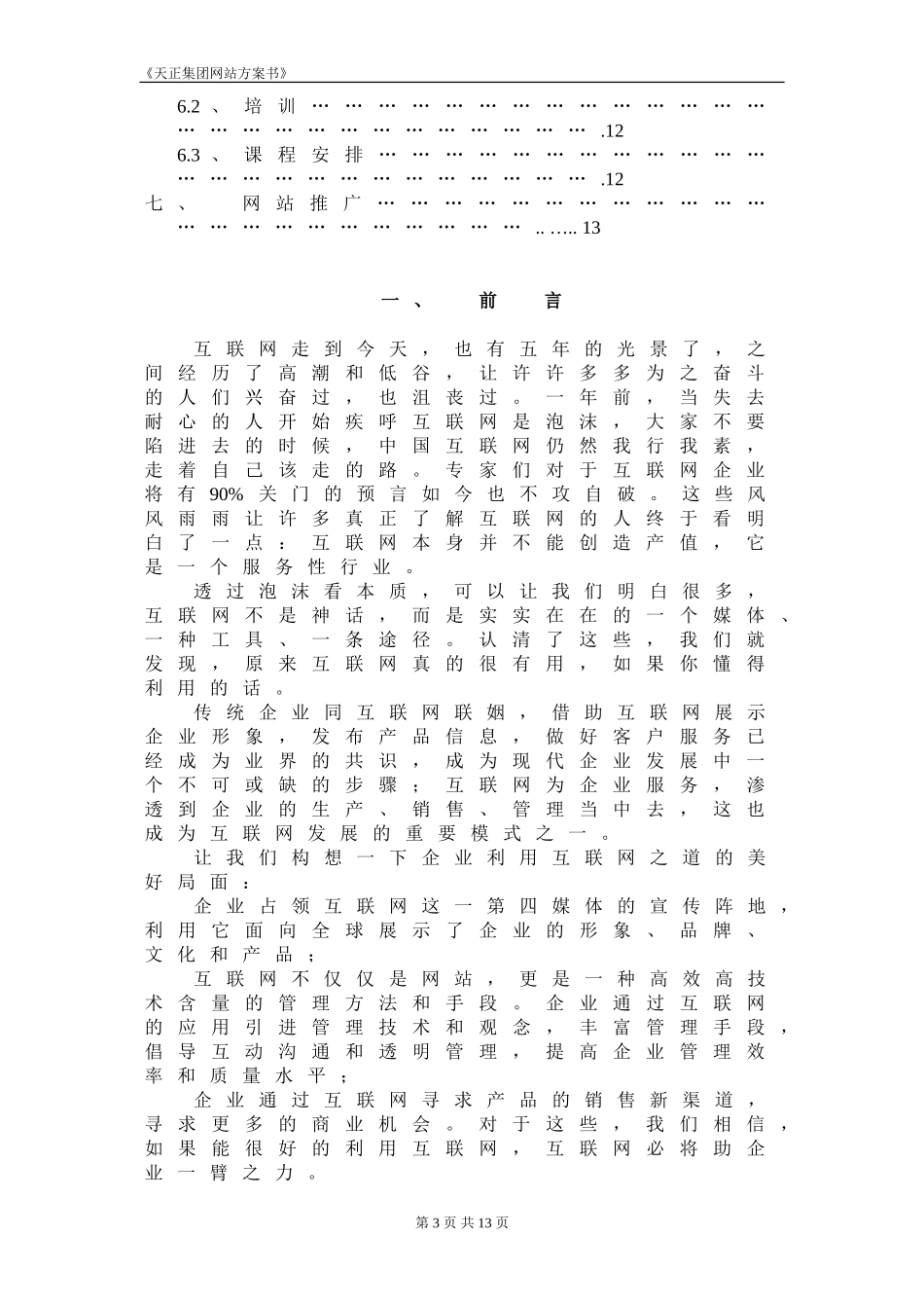 天正集团网站方案书.doc_第3页
