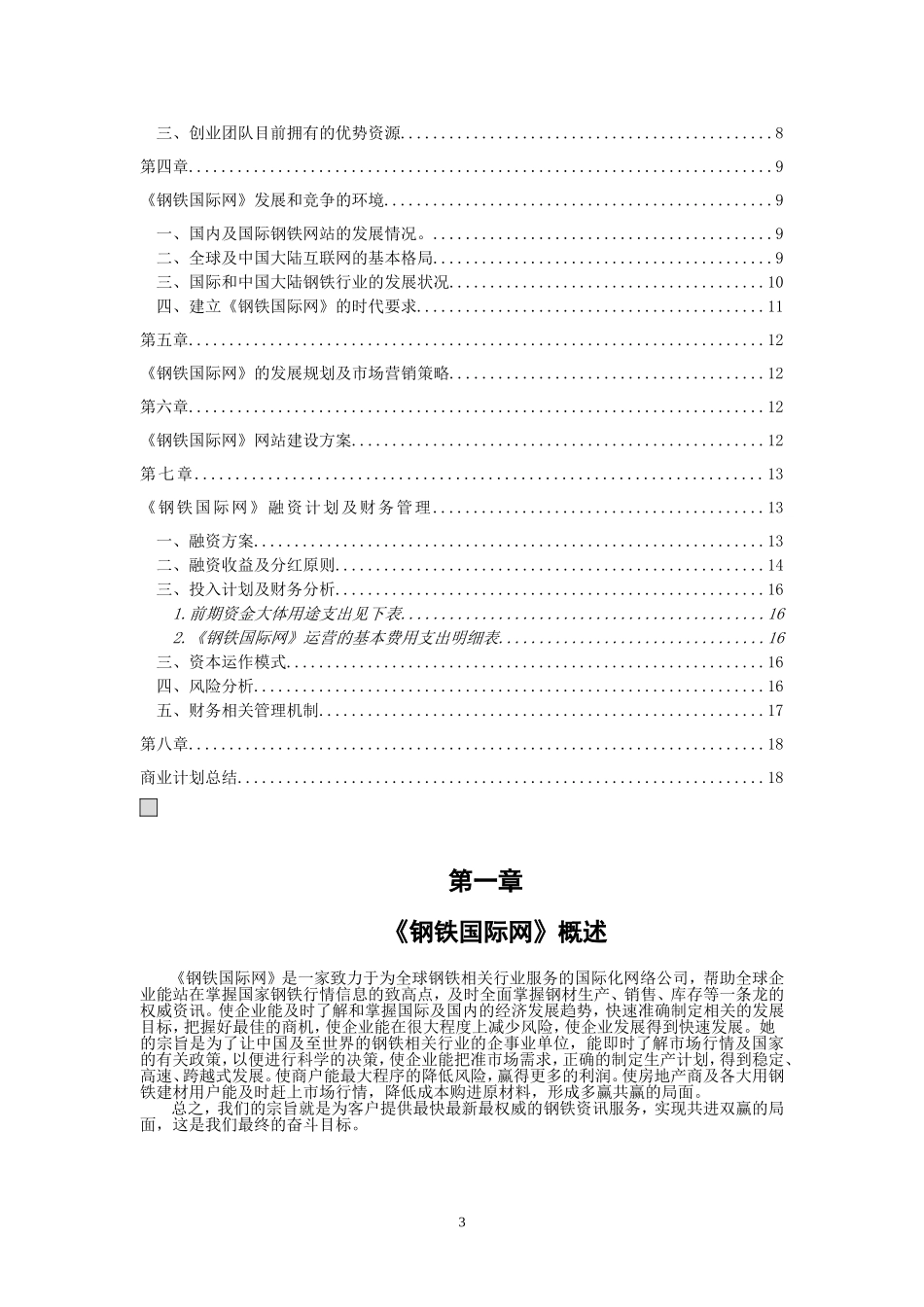 钢铁国际网商业计划书.doc_第3页