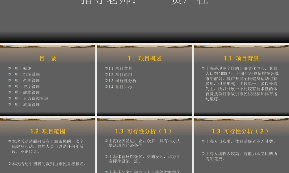 上海市全民羽毛球大赛计划书.ppt