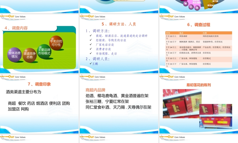 保健酒专卖店可行性调研报告文字版.ppt