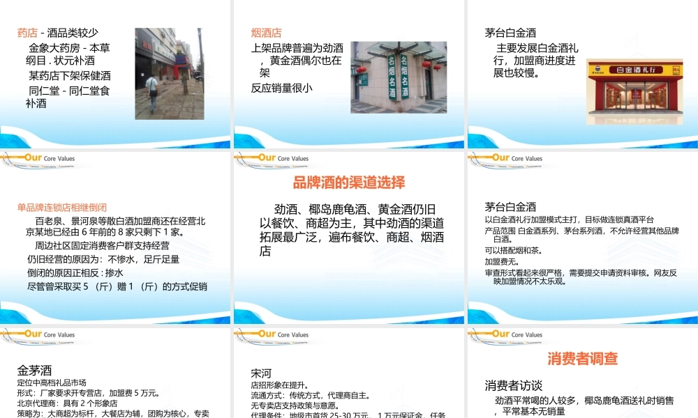 保健酒专卖店可行性调研报告文字版.ppt