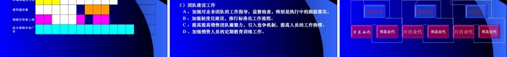 北京红星二锅头蓝瓶北京流通市场规划方案.ppt