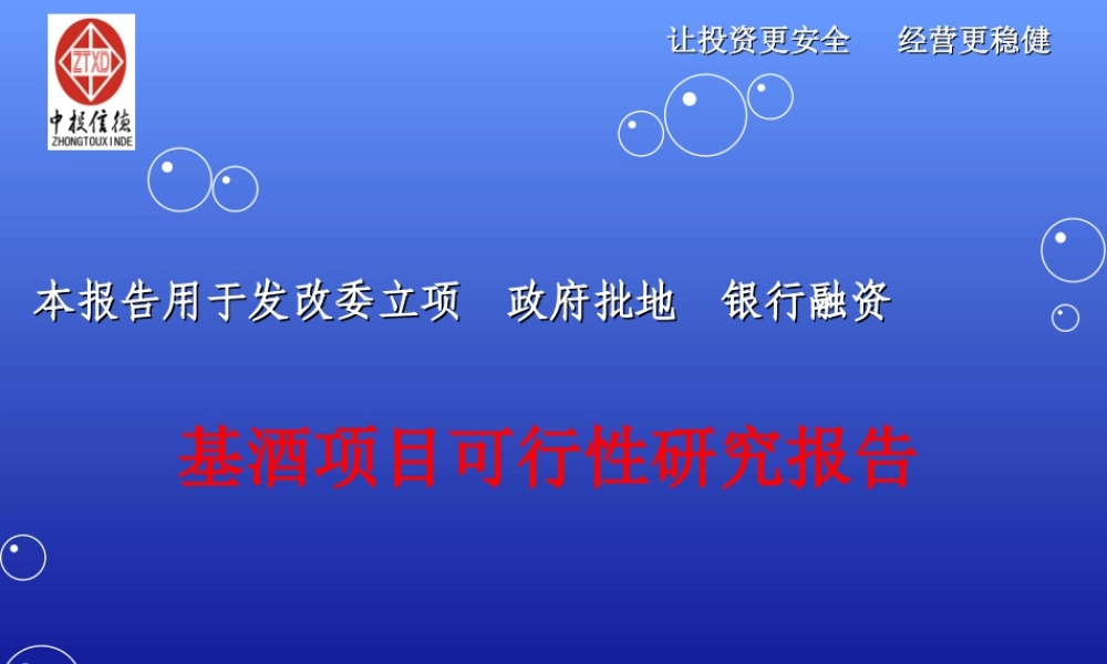 基酒项目可行性研究报告.ppt