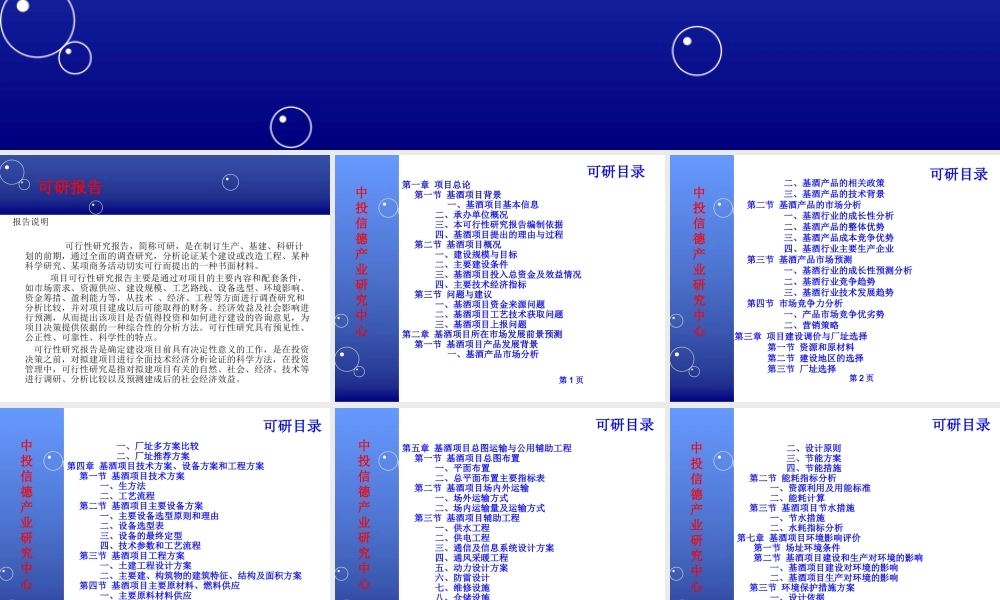 基酒项目可行性研究报告.ppt