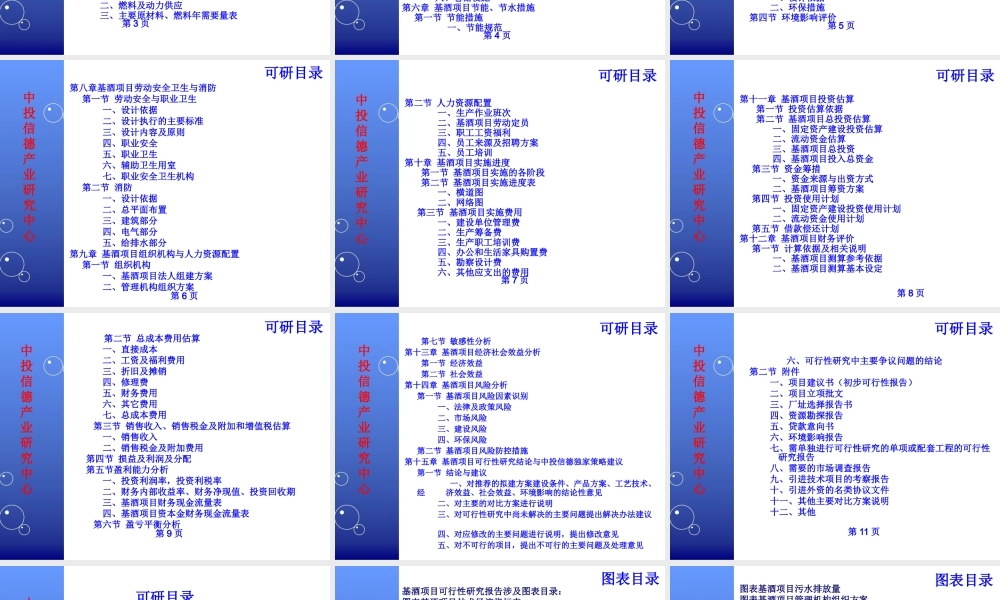 基酒项目可行性研究报告.ppt