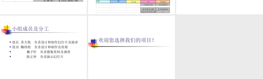 商业计划书电脑学校.ppt