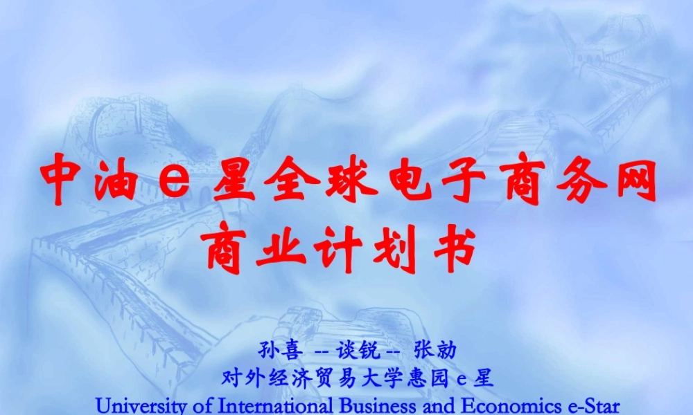 中油e星全球电子商务网商业计划书.ppt
