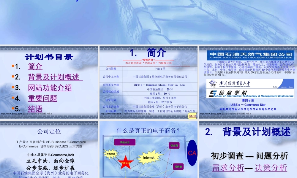 中油e星全球电子商务网商业计划书.ppt