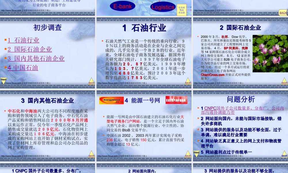 中油e星全球电子商务网商业计划书.ppt