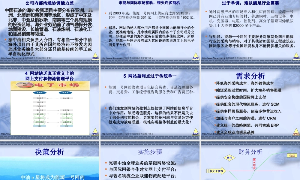 中油e星全球电子商务网商业计划书.ppt
