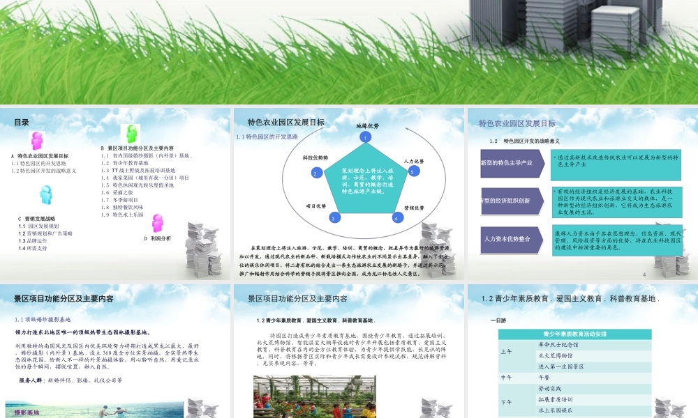 北大荒现代农业园商业计划书.ppt