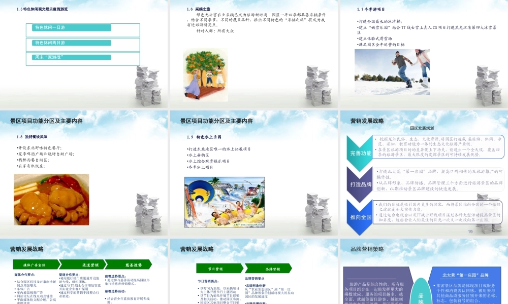 北大荒现代农业园商业计划书.ppt