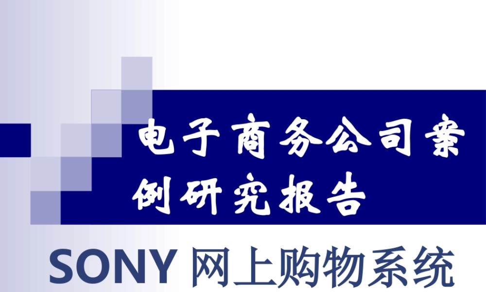 电子商务公司案例研究报告.ppt