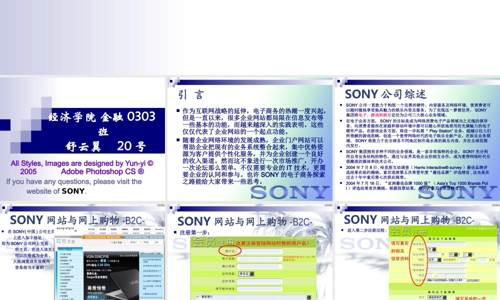 电子商务公司案例研究报告.ppt
