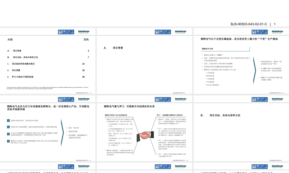 顺特电气咨询项目建议书.ppt