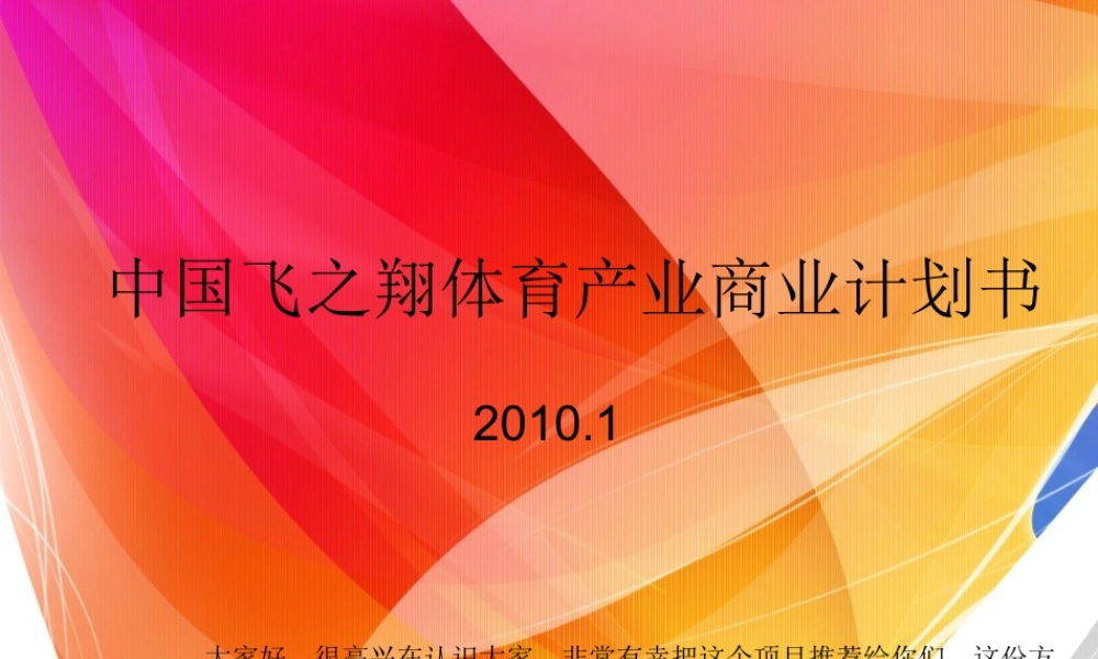 中国飞之翔体育产业商业计划书.ppt