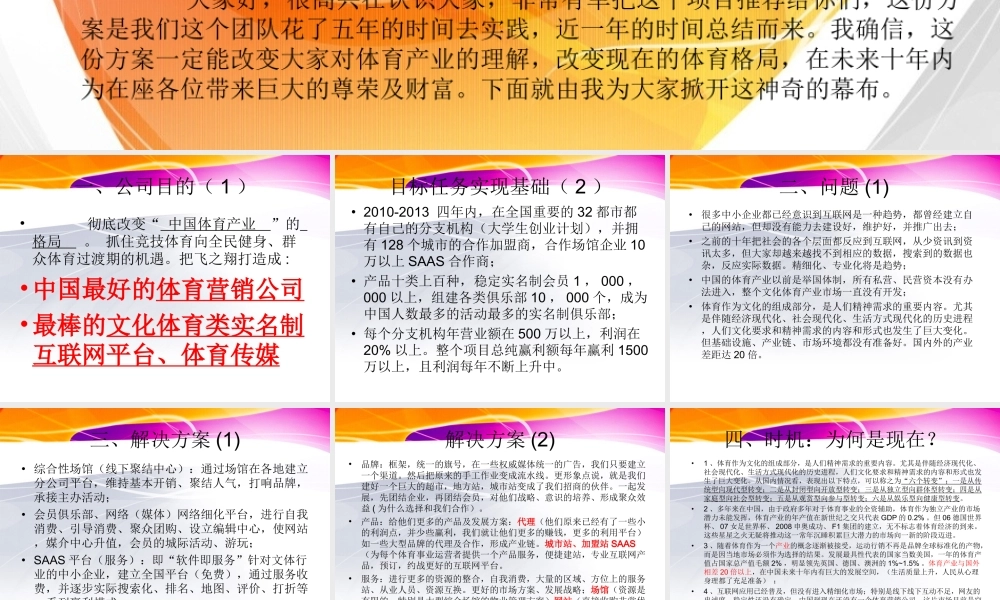 中国飞之翔体育产业商业计划书.ppt