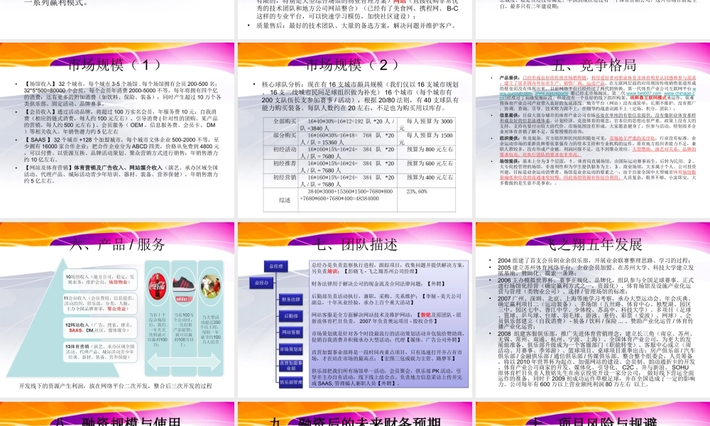 中国飞之翔体育产业商业计划书.ppt