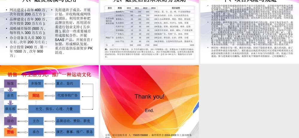 中国飞之翔体育产业商业计划书.ppt