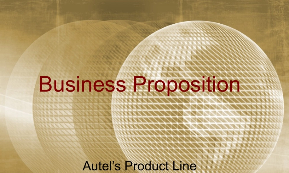 巴西市场商业计划书-英文.ppt