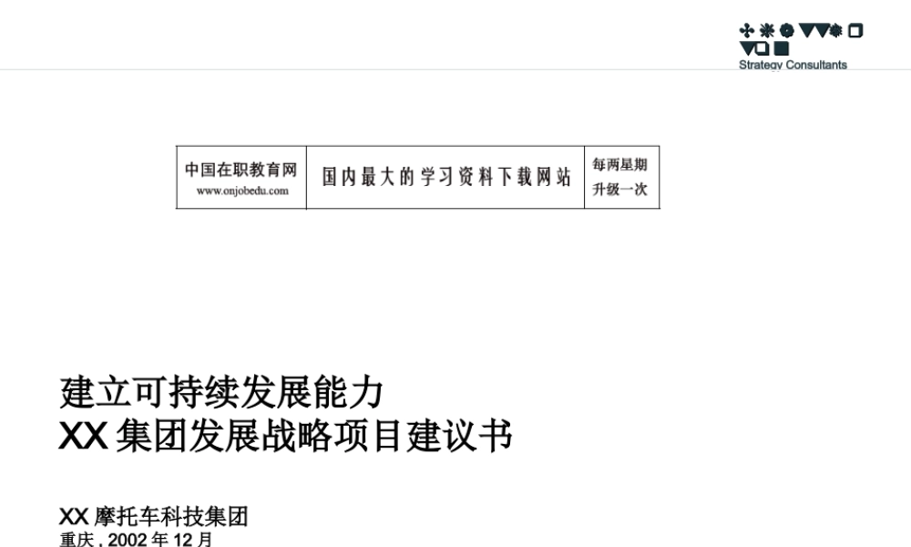 XX集团发展战略项目建议书.ppt