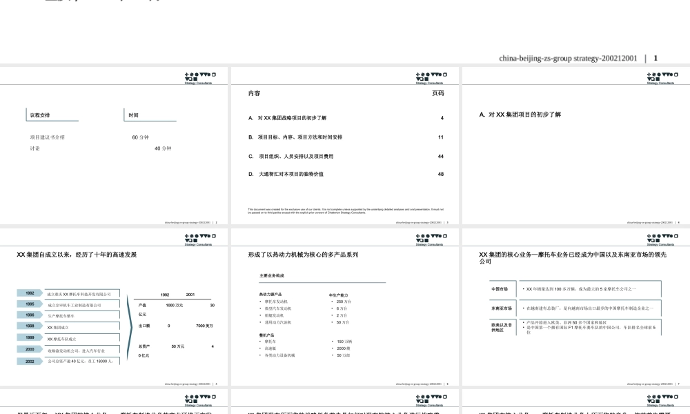XX集团发展战略项目建议书.ppt