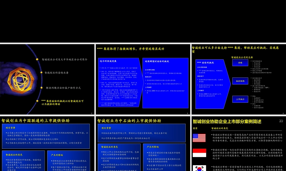 某公司上市方案书.ppt