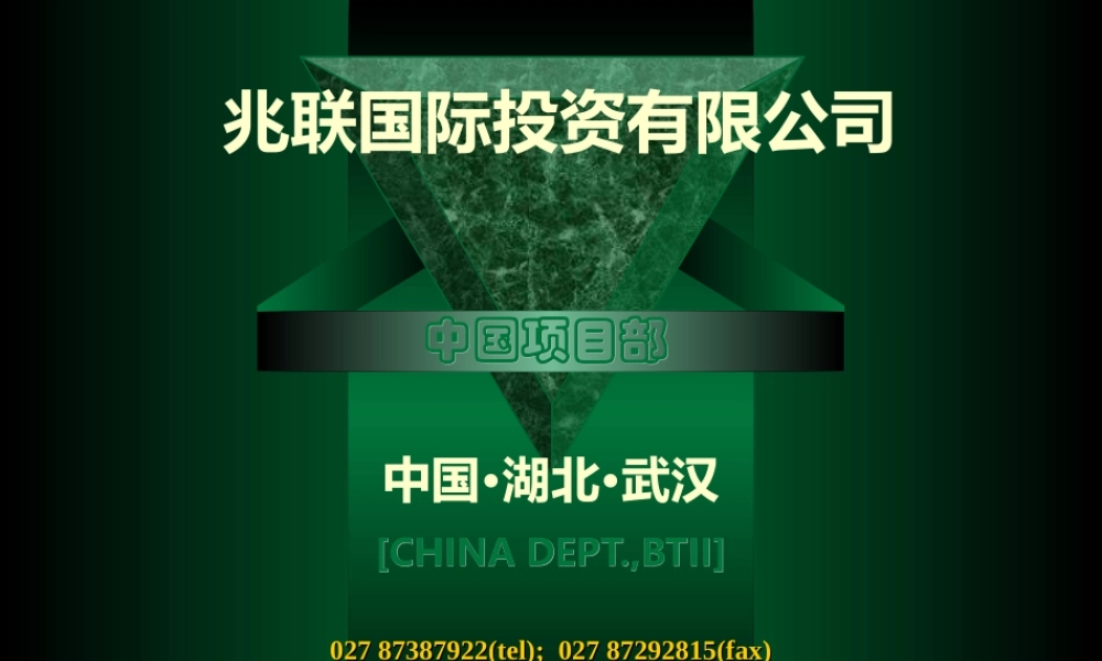 -兆联公司与融资项目策划业务介绍.ppt