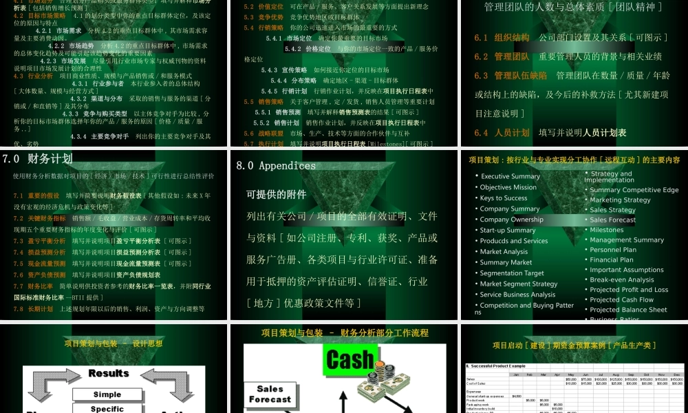 -兆联公司与融资项目策划业务介绍.ppt