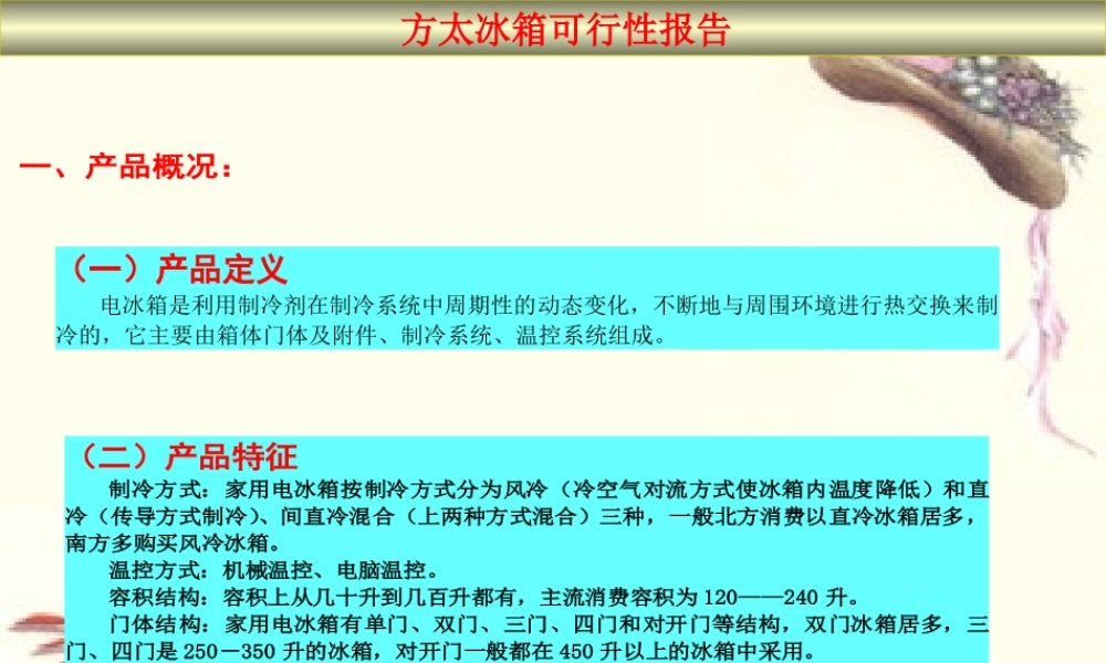 方太集团冰箱生产线可行性报告.ppt