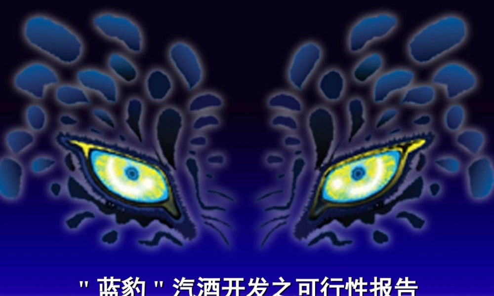 蓝豹汽酒开发之可行性报告.PPT