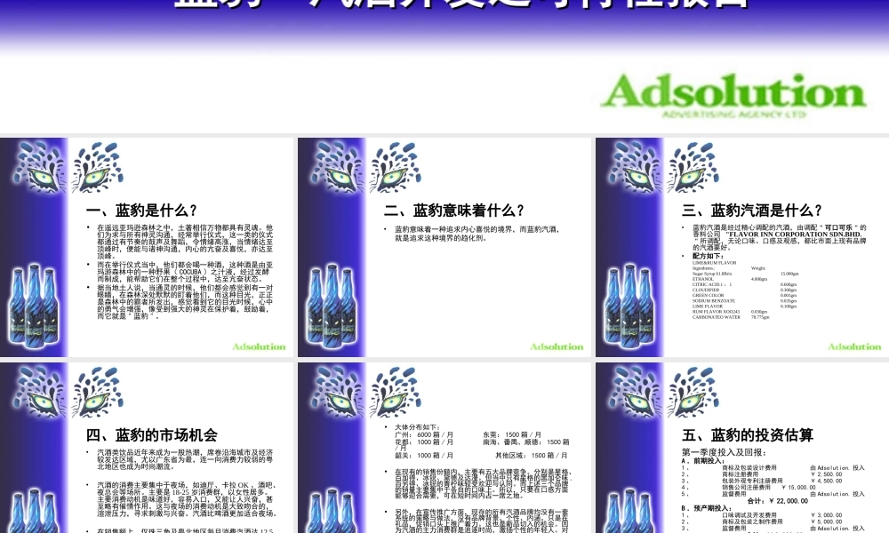蓝豹汽酒开发之可行性报告.PPT