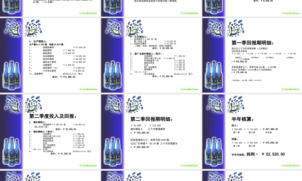 蓝豹汽酒开发之可行性报告.PPT