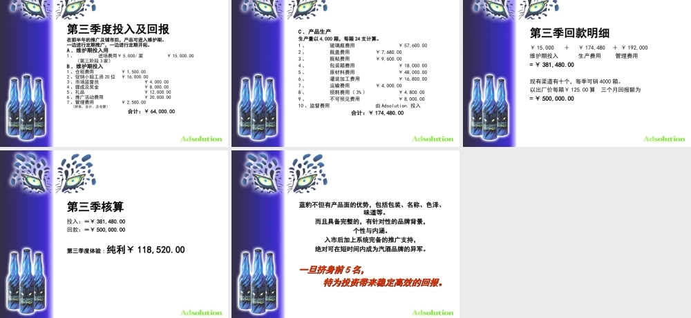 蓝豹汽酒开发之可行性报告.PPT