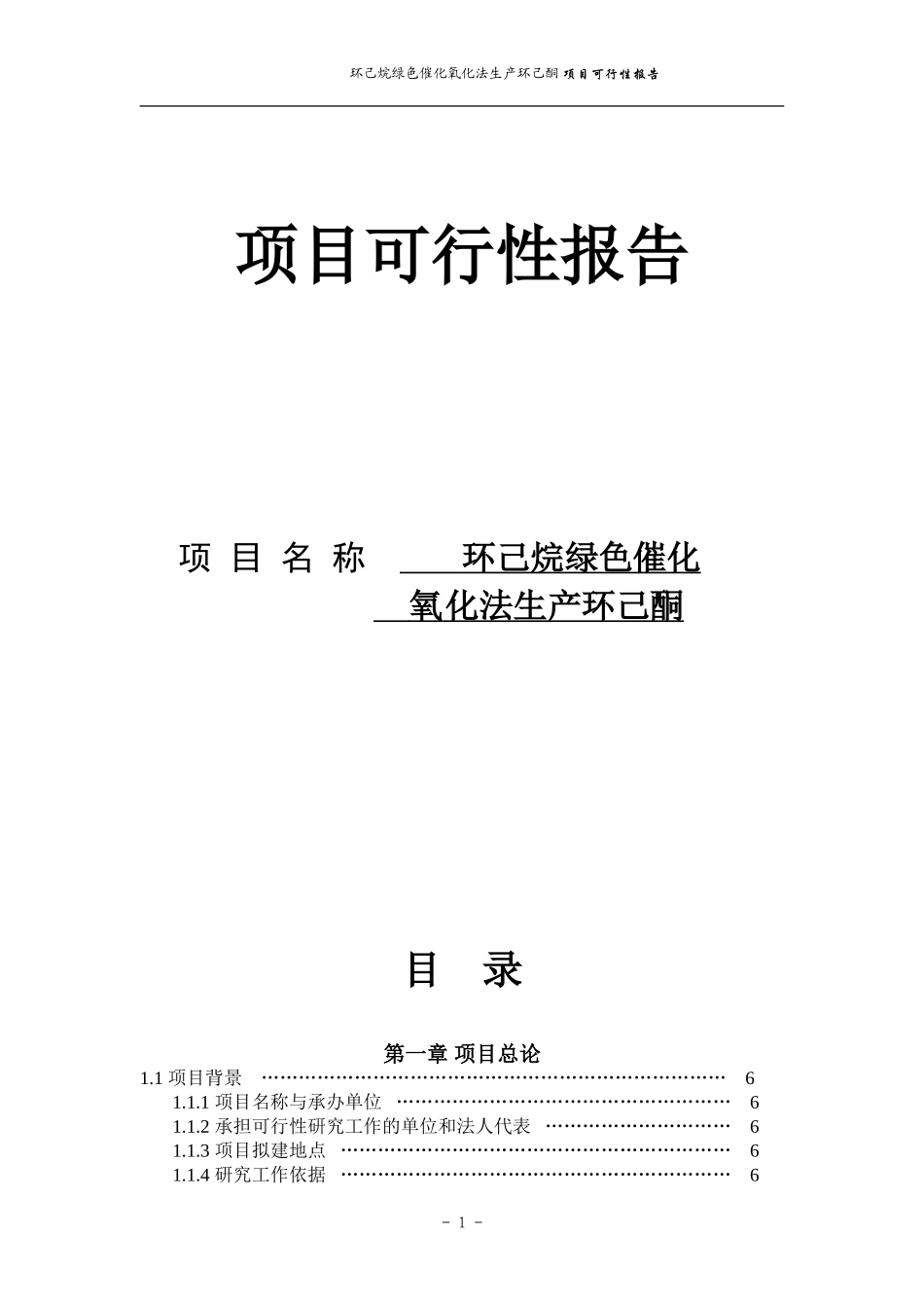 化氧化法生产环己酮 项目可行性报告.doc_第1页