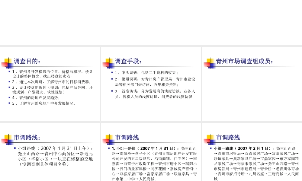 XX市区房地产调查报告.ppt