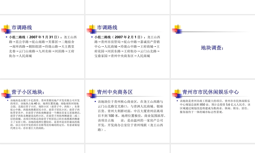 XX市区房地产调查报告.ppt