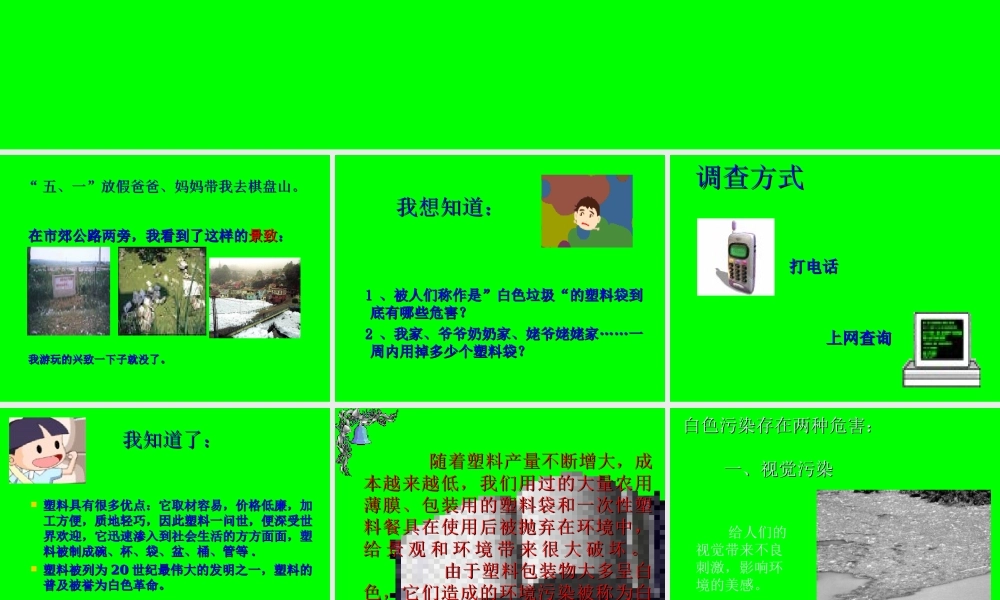 “白色污染”调查报告.ppt