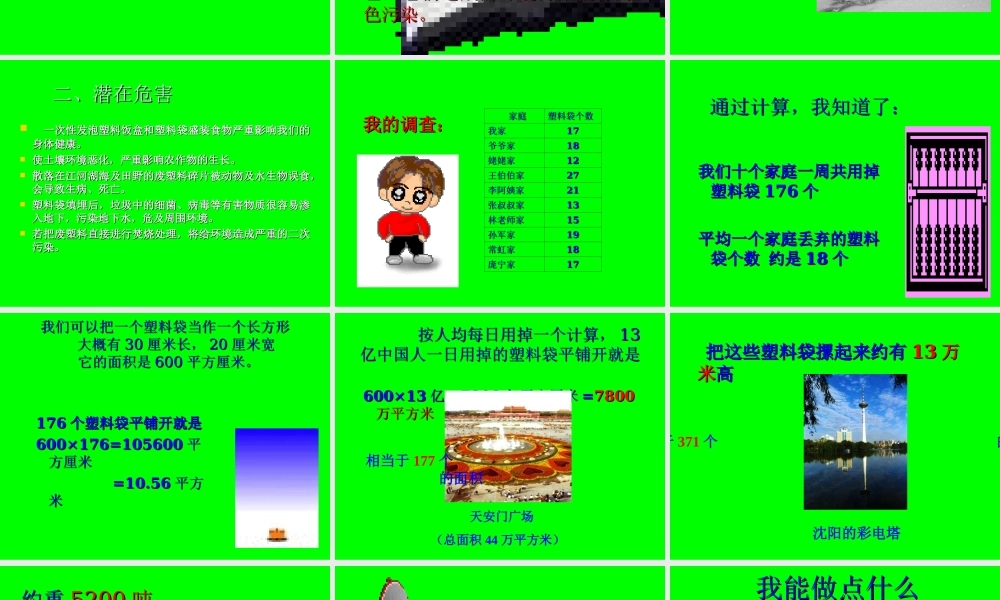 “白色污染”调查报告.ppt