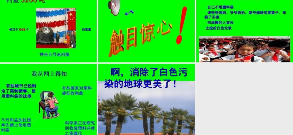 “白色污染”调查报告.ppt