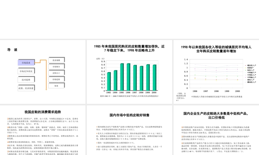 皮鞋行业分析报告.ppt