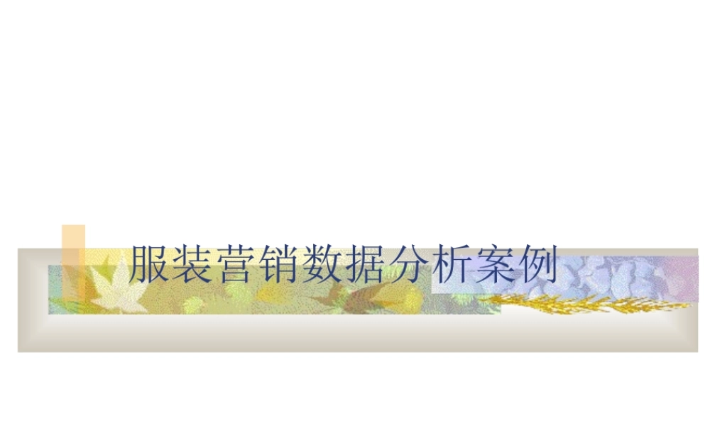 服装营销数据分析案例.ppt