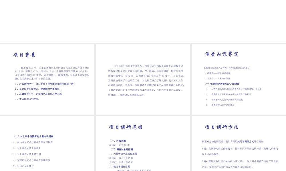 某针织有限责任公司市场调查报告.ppt