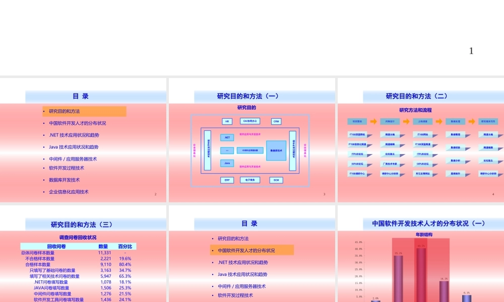 2006-2007年中国软件技术应用现状和趋势分析.ppt