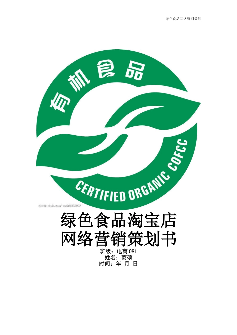 绿色食品网店营销策划书.doc_第1页