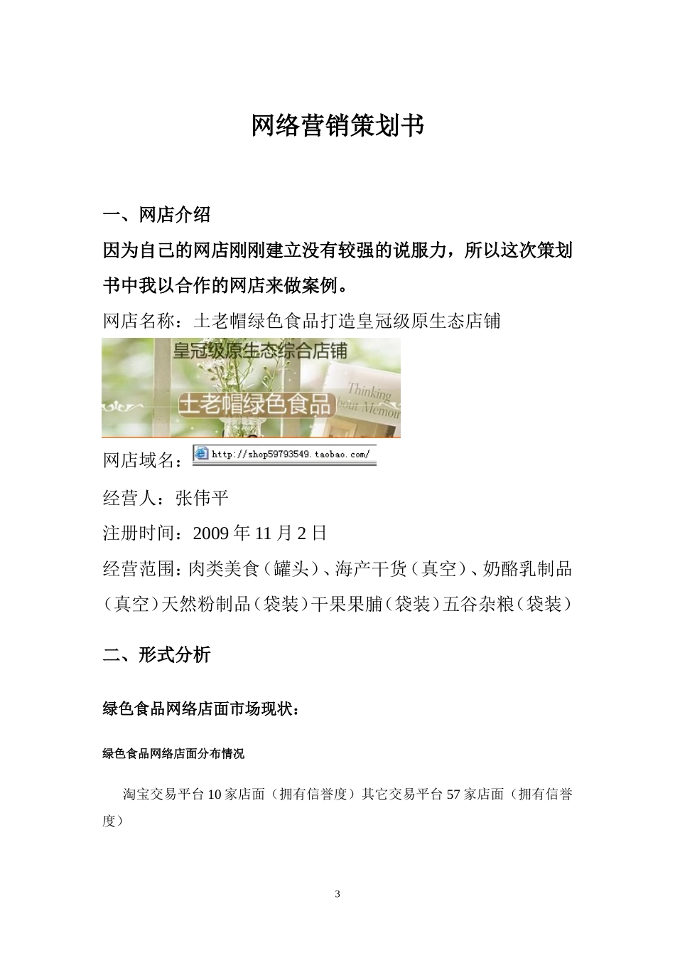绿色食品网店营销策划书.doc_第3页